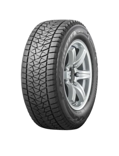 Шины Bridgestone Blizzak DM-V2 255/50R19